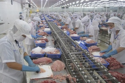 Cá tra mất thế “độc quyền”: Áp lực cạnh tranh hay động lực giúp tái cơ cấu?