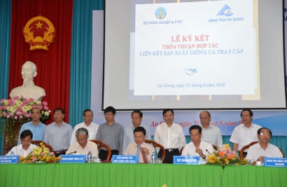 Con giống cá tra là khâu đầu tiên cần tập trung quyết liệt