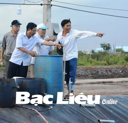 Nuôi tôm công nghiệp phải gắn với bảo vệ môi trường