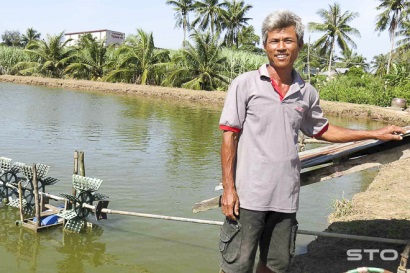 Những giải pháp nuôi tôm quảng canh cải tiến hiệu quả