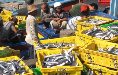 Tiếp tục ngăn chặn khai thác hải sản bất hợp pháp