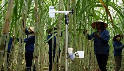 Việt Nam ứng dụng IT tiên tiến để tăng xuất khẩu nông, thủy sản