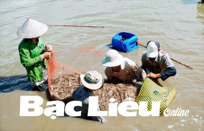 Tái cơ cấu và đẩy mạnh liên kết trong nuôi trồng thủy sản