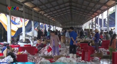 Kiên Giang truy xuất nguồn gốc thủy sản sau đánh bắt