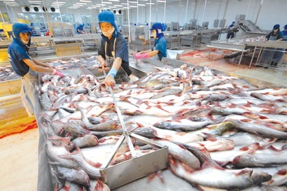 Mối nguy mới cho cạnh tranh của ngành cá tra