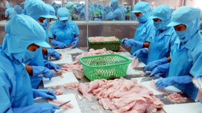 Tìm “đường bơi” cho cá tra