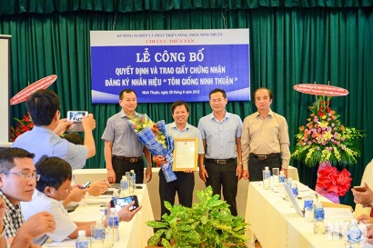 Công bố nhãn hiệu tôm giống Ninh Thuận