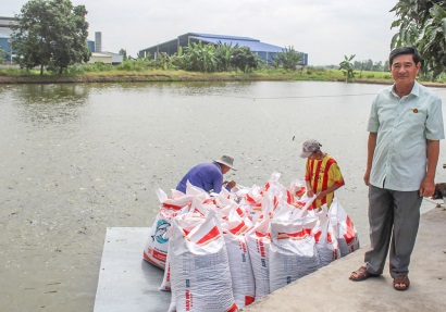 Làm giàu với con cá tra