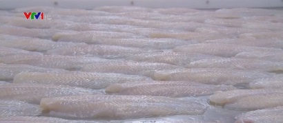 Mỹ giảm mạnh thuế với cá tra, basa Việt Nam