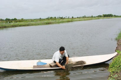 Cà Mau: Chuyển dần diện tích nuôi tôm quảng canh sang nuôi tôm quảng canh cải tiến