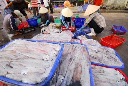 Doanh nghiệp thiệt hại nặng vì thẻ vàng IUU