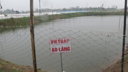 Chuyển đổi chứng nhận VietGAP sang ASC