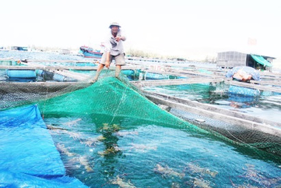Cam Ranh (Khánh Hòa): Tuyên truyền quy hoạch nuôi trồng thủy sản