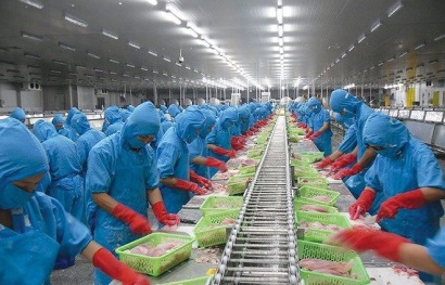 Vinh Hoan Corp: Kim ngạch xuất khẩu tăng mạnh