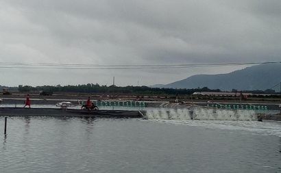 Huyện Nga Sơn (Thanh Hóa): Sản lượng khai thác và nuôi trồng thủy sản đạt 4.588 tấn