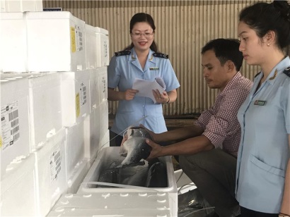 Cắt giảm danh mục hàng hóa thuộc đối tượng phải kiểm dịch động vật, thủy sản