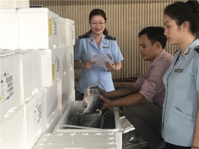 Thông tư 11/2019/TT-BNNPTNT: Sửa đổi, bổ sung 1 số điều của Thông tư 36/2018/TT-BNNPTNT ngày 25/12/2018