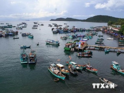 Khắc phục "thẻ vàng" IUU: Tăng cường các biện pháp chống khai thác IUU