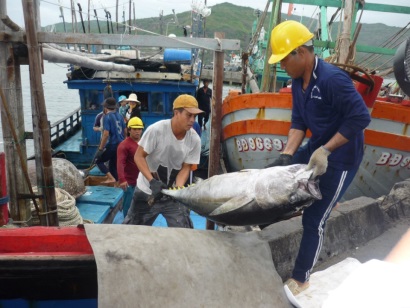 Phát triển kinh tế biển gắn với đảm bảo quốc phòng - an ninh tại Bình Định: Gặt hái được thành tựu nổi bật
