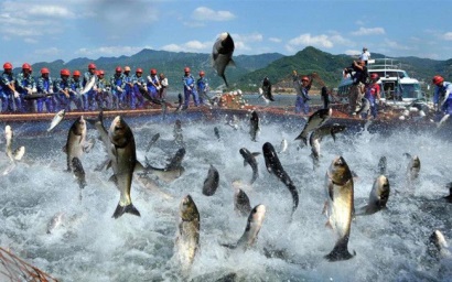 
9 tháng ước thu 295 tỷ tiền lãi, Navico (ANV) mục tiêu đẩy mạnh xuất khẩu sang Trung Quốc