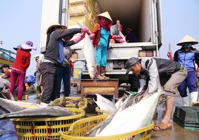 Phát triển kinh tế biển theo chuỗi giá trị