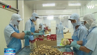 Sản phẩm khô cá tra một nắng hút hàng