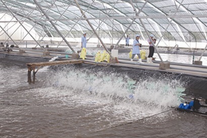 “Rào cản” truyền thông trong xuất khẩu thủy sản