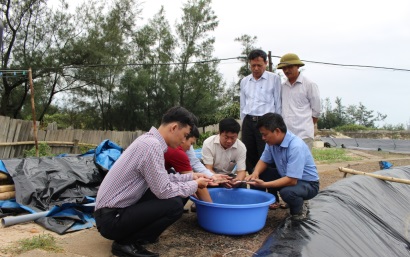 Quảng Trị: Giảm rủi ro từ mô hình nuôi tôm 2 giai đoạn