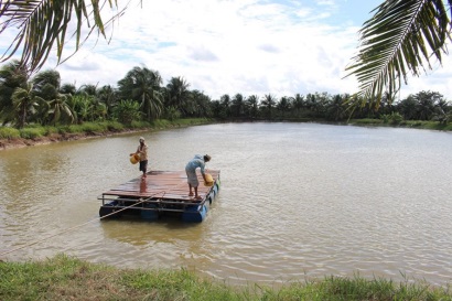 “Điều chỉnh đường bơi” cho cá tra Việt Nam