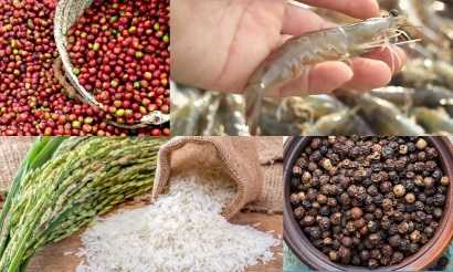 Bộ NN&PTNT đề xuất 15 nông phẩm chủ lực quốc gia