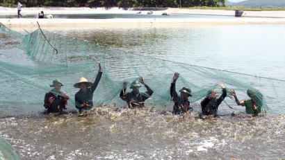 TP.HCM phát triển nuôi tôm theo hướng an toàn sinh học
