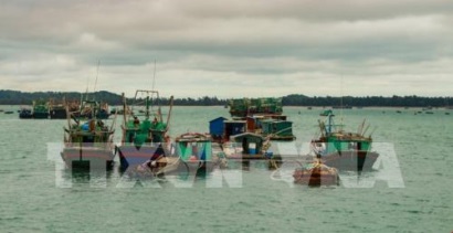 Huyện đảo Cô Tô phát triển kinh tế thuỷ sản theo hướng bền vững