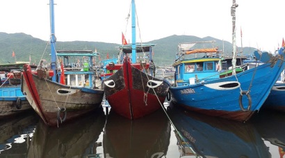 Đà Nẵng: Đẩy mạnh công tác ngăn chặn khai thác thủy sản bất hợp pháp