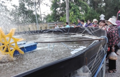 Nghệ An: Tập huấn kỹ thuật nuôi tôm 2 giai đoạn