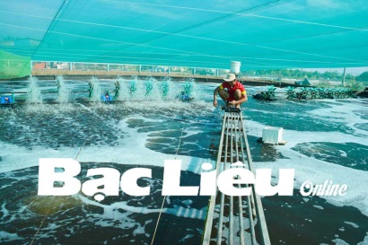 Thời điểm giao mùa: Cần chủ động phòng ngừa dịch bệnh trên tôm