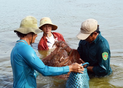 Điện "ngốn" 10% chi phí đầu tư cho nuôi tôm