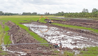 Đồng Tháp Mười: Diện tích nuôi cá tra giống gia tăng