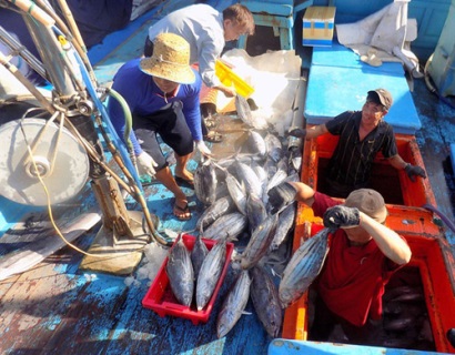 Sau 1 năm EC phạt "thẻ vàng": Nhiều tiến bộ trong khắc phục