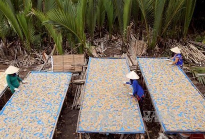 Bánh phồng tôm Mũi Cà Mau được chứng nhận nhãn hiệu tập thể