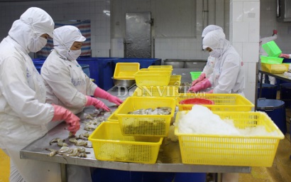 Doanh nghiệp thủy sản khó tiết kiệm năng lượng