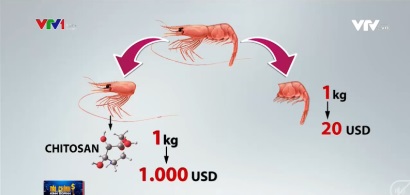 Phụ phẩm tôm có thể mang về cho nền kinh tế 3 tỷ USD/năm