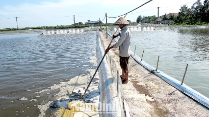 Nam Định: Nhiều giải pháp kỹ thuật cải tạo nguồn nước trong nuôi thủy sản
