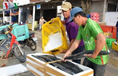 Cà Mau nỗ lực góp phần gỡ “thẻ vàng” của EC