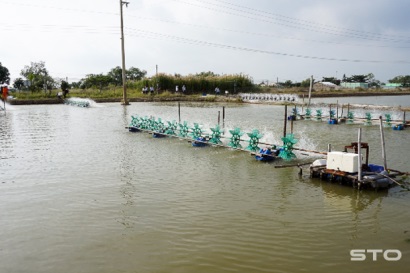 Hỗ trợ người dân tăng cường tiết kiệm điện trong nuôi tôm