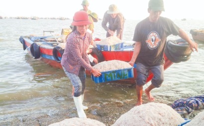 Thanh Hóa: Giá trị sản xuất thủy sản toàn tỉnh đạt 5.304,1 tỷ đồng