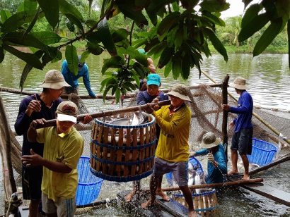 An Giang: Thủy sản tăng tốc phát triển