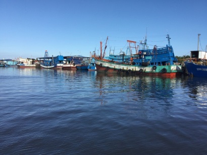 Cà Mau khai thác biển và chế biến thủy sản phát triển bền vững