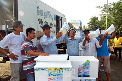 Nuôi tôm siêu thâm canh đột phá nhưng chưa bền vững