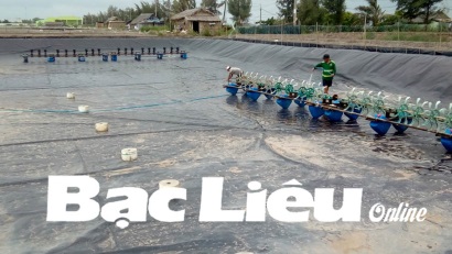 Vệ sinh an toàn thực phẩm trong nuôi tôm: Hướng tới xây dựng nghề nuôi tôm bền vững