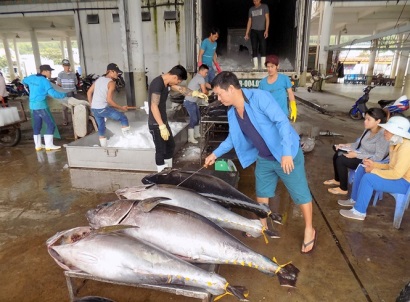 Giải pháp giảm thất thoát sau khai thác